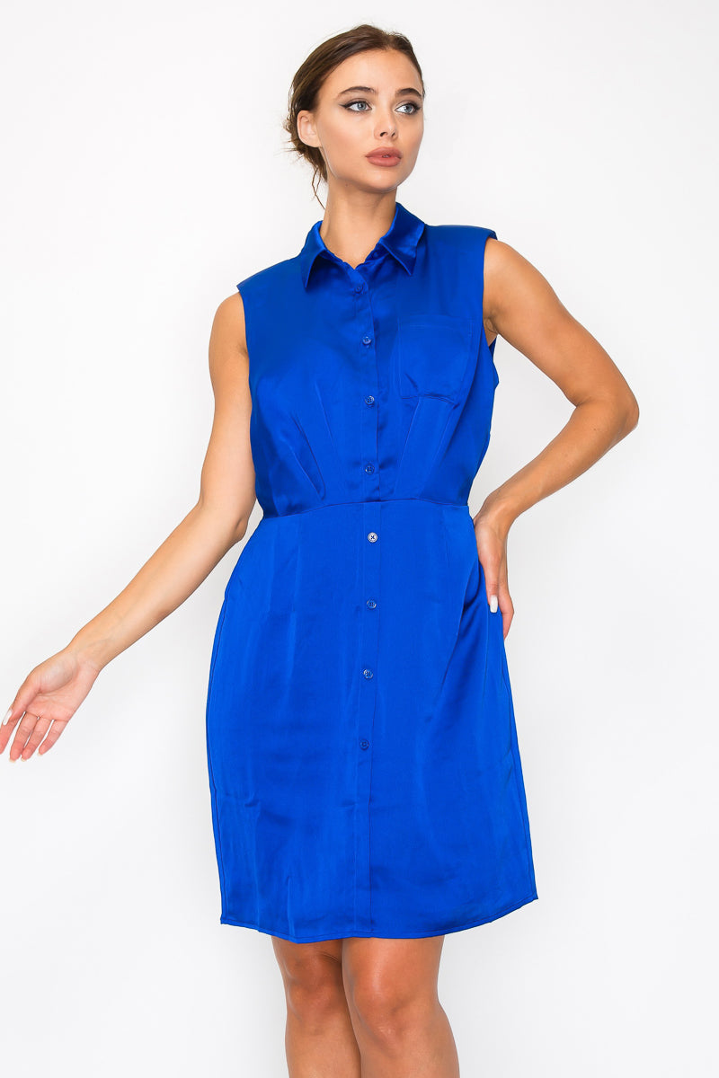 Button-Down Pleated Shirt Dress