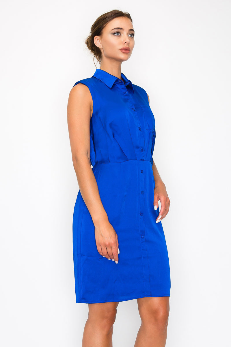 Button-Down Pleated Shirt Dress