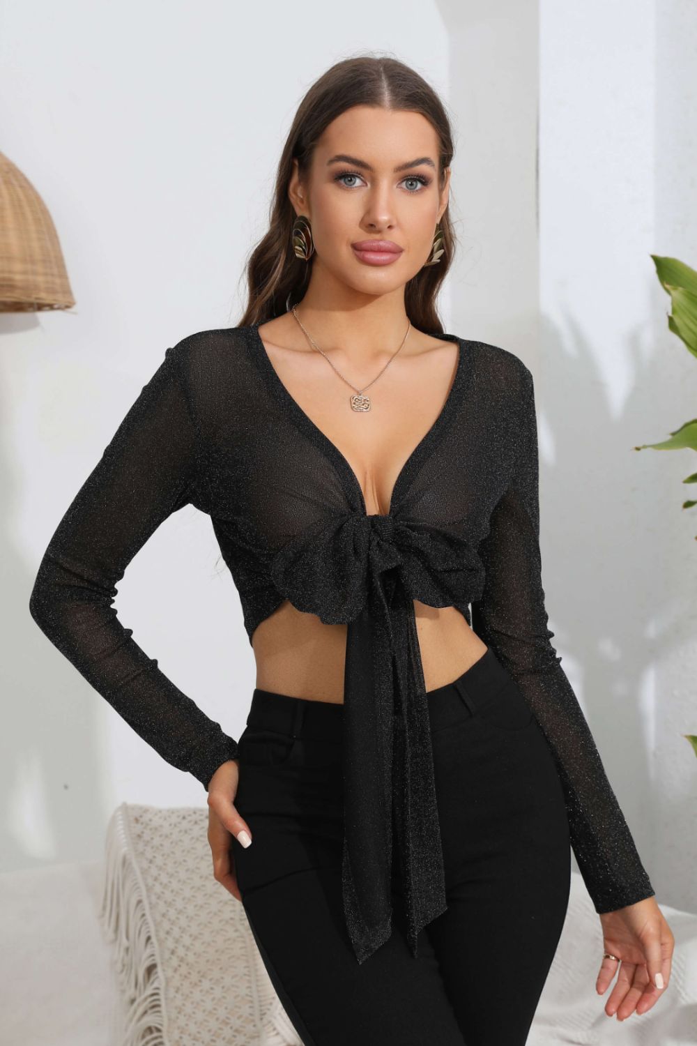 Tie Front Deep V Long-Sleeve Crop Top